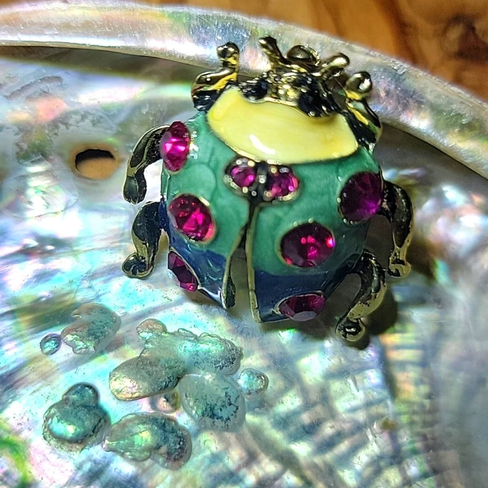 NEW 🐞 Rainbow Colored Beatle Lady Bug Womens Pin Brooch Red Rhinstone Gold Tone